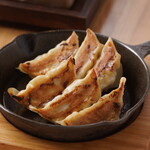 Teppanyaki Gyoza / Dumpling with Kujo green onions