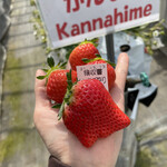 姫路ハートフル観光農園 - 