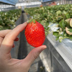 姫路ハートフル観光農園 - 