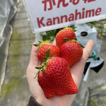 姫路ハートフル観光農園 - 