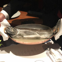 ブレストンコート ユカワタン - 