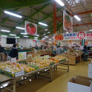 めっけもん広場_2