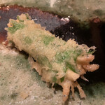 てんぷら　成生 - 