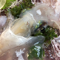 博多料亭 稚加榮 - 