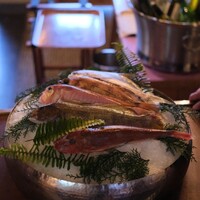 スミレオオサカ - 