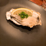 Oyster Bar Churi - 