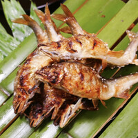 京都 吉兆 嵐山本店 - 