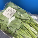やもと四季彩館 - 新鮮な「つぼみ菜」もゲット！！