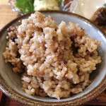 ハレとケ - もっちもち！寝かせ玄米