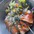 Hashing DINER - 