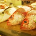 Hiyoko Yado - 地元瀬戸内の魚介類を使用しております。新鮮な魚でお酒をお楽しみください。