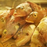 Hiyoko Yado - その日オススメの新鮮な魚を提供しております。お刺身や塩焼き、煮付けをお楽しみください。