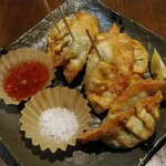 Oyaji no Genkotsu - 脆皮鸡肉饺子