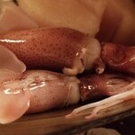 緒方 - ⑪蛍烏賊(富山県滑川沖産、雌)
      日本近海での産卵期は通年、旬は春
      日本海側では何処でも獲れる蛍烏賊ですが、滑川沖が良いのは雌だけだから
      雄は交接直後に死亡、雌のみが産卵場所の滑川沖に集まります