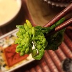 緒方 - ⑫菜の花
      微かな苦みと穏やかな甘み、サッと茹でた感じ
      酢味噌で頂きました