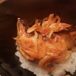 緒方 - ⑭桜鱒(福井県小浜産)の漬け焼き&桜蝦丼
      遡上初期の桜鱒は最も脂がのり美味しい
      漬けを炭火焼きしてあり芳ばしく、皮がパリッとして絶妙なのです
      刺身で食べたいがアニキアスの心配があるので提供されないそう