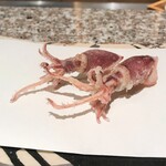 天麩羅 巽 - ホタルイカ