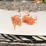 天麩羅 巽 - 才巻海老の足