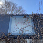 エグ・ヴィヴ - 