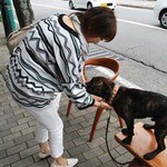 가루이자와 델리카테센