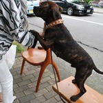 가루이자와 델리카테센