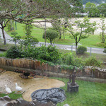 古民家レストラン　土佐水木 - 