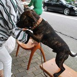 가루이자와 델리카테센