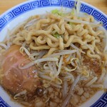 Shoujin Kado Fuji - 「ふじそば」の麺はこんな感じ