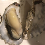 Oyster Bar Racco - 