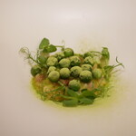 イル・テアトロ - 