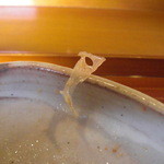 千松しま - めばるのめばる(笑)