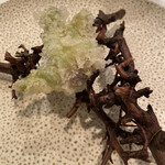 レストラン・モリエール - ふきのとう