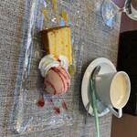 ビストリア カトレ - 