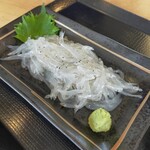 くさの根 - 期間限定『白魚刺し身』