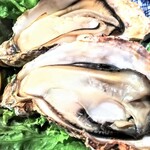 はてなのちゃわん - 