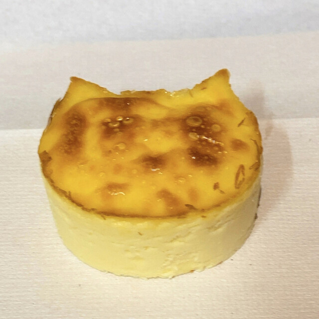 ねこねこチーズケーキ 稲沢店 国府宮 ケーキ 食べログ ねこねこチーズケーキ 稲沢店 国府宮 ケーキ 食べログ