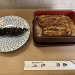 Unagi Irokawa - 