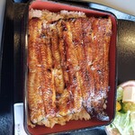 Unagi Kinsui - 