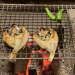 야마유리노 야도