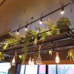 パティスリー ヒンナ - ～パティスリー ヒンナ～　内観、飾られた植物がお洒落