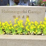 パティスリー ヒンナ - ～パティスリー ヒンナ～　外観、菜の花がきれい