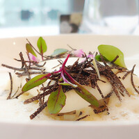 フィリップ・ミル 東京 - 帆立貝のクーサン、トリュフと根セロリのリゾット、パルメザンチーズのエミュルシオン