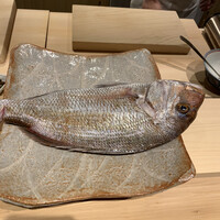 日本料理 研野 - 