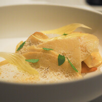l'elan - 