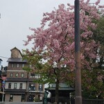 スターバックス・コーヒー - 