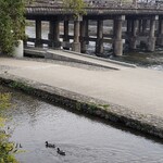 スターバックス・コーヒー - 