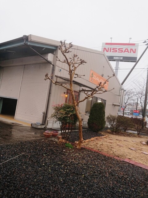 ラヴェンナ - 白河（その他）の写真