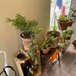 ビストロ セレニテ - 