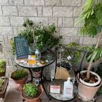 ビストロ セレニテ - 