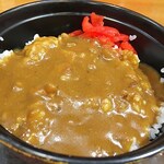 Manyounosato Takaoka - ミニカレーライスは15cm程のどんぶりに入って提供。いたってオーソドックスな見た目。